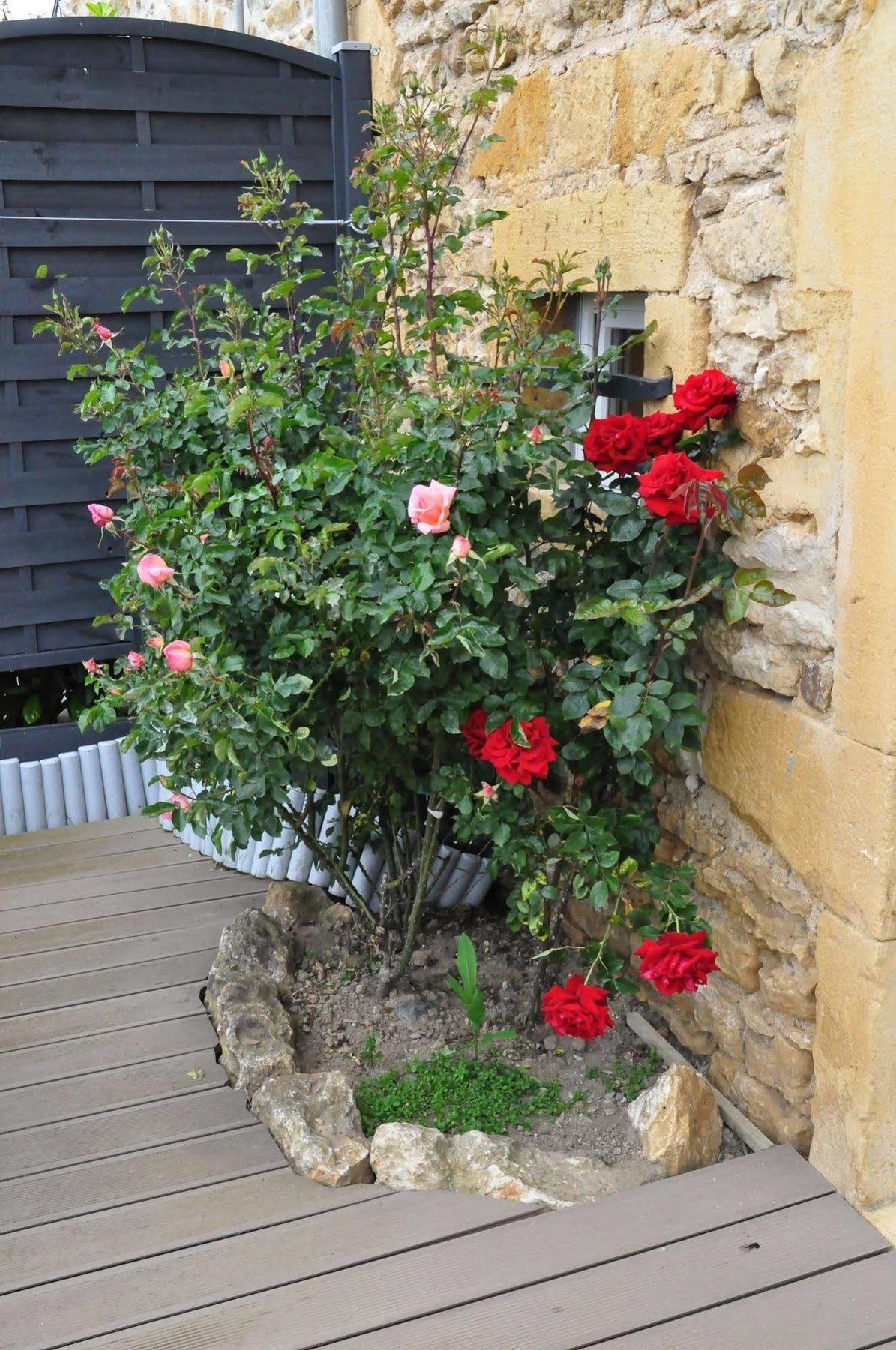 Le Clos Du Cher En Beaujolais Saint-Germain-Nuelles Exterior foto