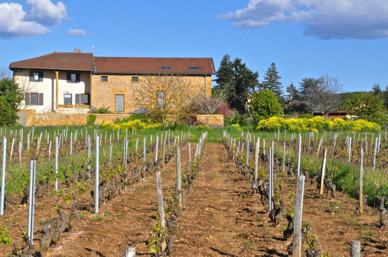 Le Clos Du Cher En Beaujolais Saint-Germain-Nuelles Exterior foto